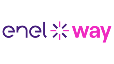 Logo enelway